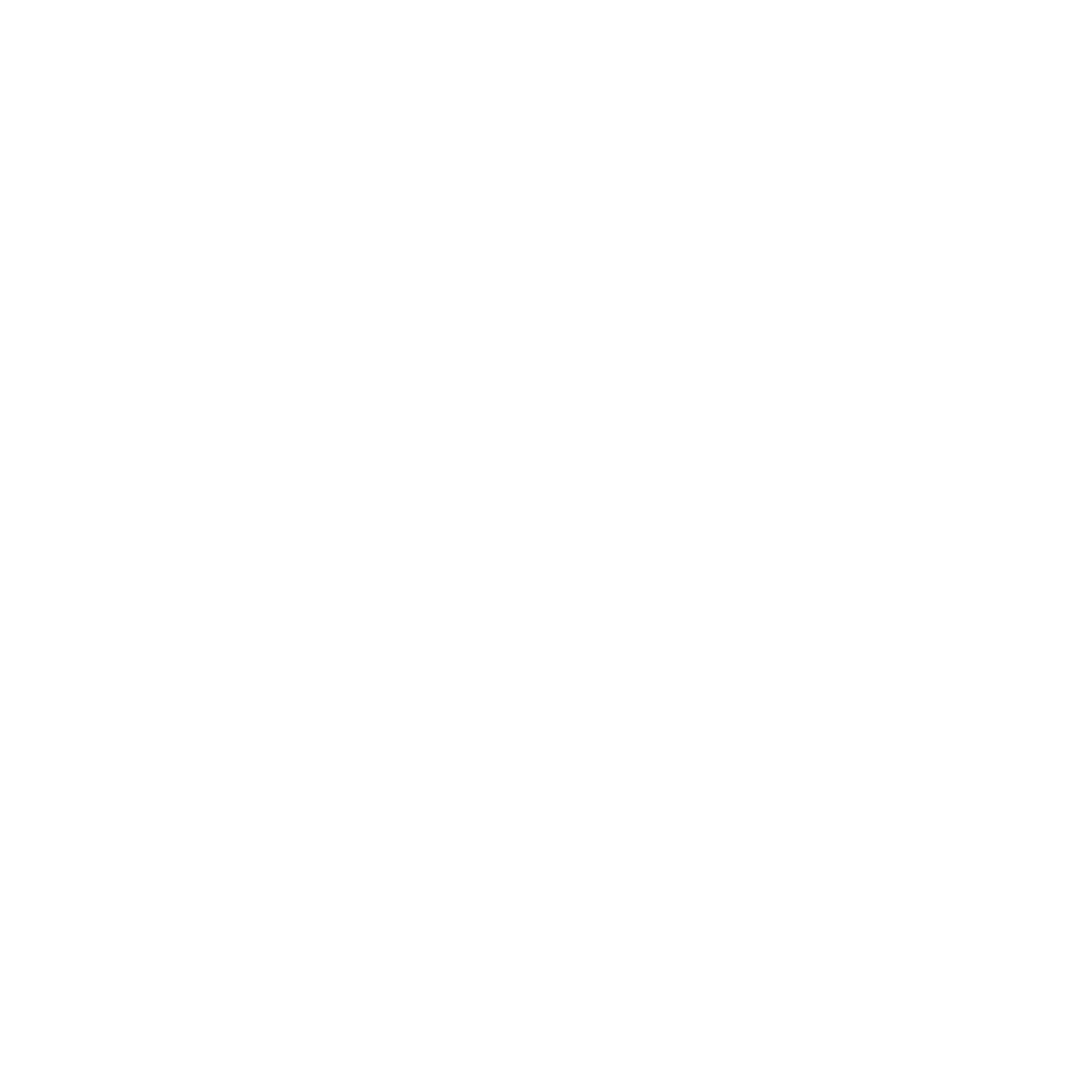 Cercle d'Escrime de Nogent-Le Perreux